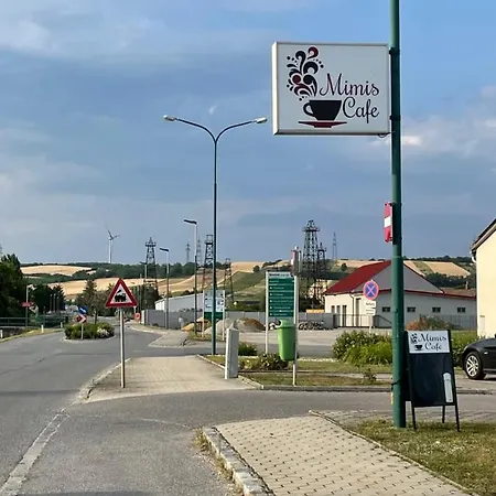 Tiny House Villa Neusiedl an der Zaya Exterior photo