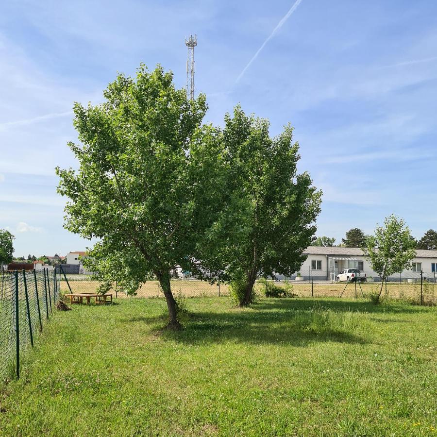 Holiday home Tiny House Neusiedl an der Zaya